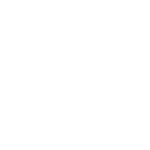 Socio comercial  Saint Gobain